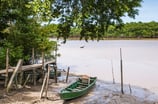 Amazonas