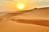 Desierto en los Emiratos Árabes Unidos