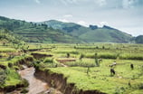 Paisaje rural en Burundi