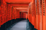 Templo Hallway, Tokio
