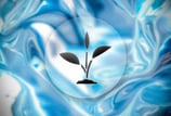 Basic Plan Icon