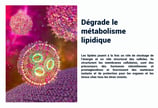 PESTICIDES DEGRADE METABOLIME LIPIDIQUE