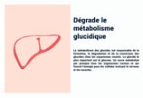 PESTICIDES DEGRADE METABOLISME GLUCIDIQUE
