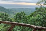 laboratorio-de-esencias-naturaleza