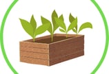Build a Raised Bed in the Garden