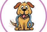 Take the Dog for a Walk