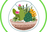 Create a Terrarium