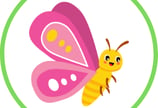 Raise your own Butterflies