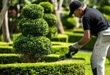 Jardinero podando setos en Torredembarra – Cuidado de zonas verdes
