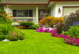Mantenimiento mensual de jardines comunitarios en Altafulla y alrededores