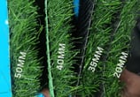 gurgaon no 1 artificial grass supplier