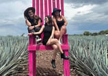 Paraiso Azul - Tour Tequila desde Morelia
