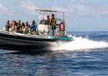 boat cruise by