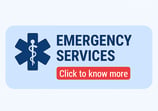Find ambulance and blood bank services in karnal