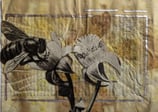 vintage bee