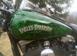 Custom Paint work done by the Owner of ProPolish