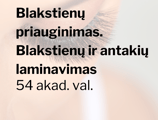 Blakstienų priauginimas. Blakstienų ir antakių laminavimas