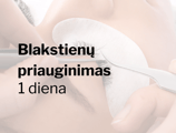 Blakstienų priauginimas