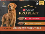 brown labrador 