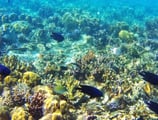 coron island palawan philippines