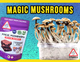 Magic Mushrooms Malta