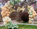 balloon services in Grand Junction Colorado