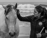 stages cours d'équitation