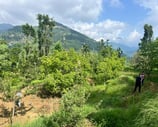 CONSTRUCTION OF 3 NO. HUTS AT GALLI / MANJU TOP AND RESTAURANT, Proposed Site