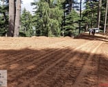 CONSTRUCTION OF PMGSY ROAD FROM CHARRAL TO NIPPAH DIVISION by escotten infra projects pvt. ltd.