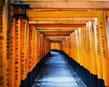 Japanese temple shrine torii fushimi inari taisha