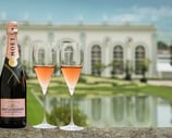 champagne bottle and glasses of rosé in wine domain