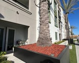 luxury apartment mulch