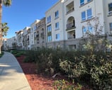 luxury apartment mulch