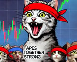 a cat with a red bandannard and a red bandannard with a