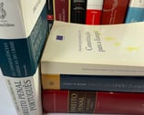 Livros de Direito Penal Livros Loide Castelo Branco Advogada