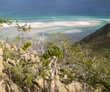 qalancyah socotra