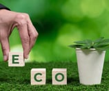 Eco-Friendly Fandee Island - Tad Lo