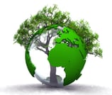 Informatique écologique