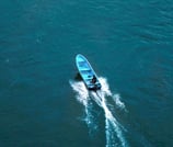 Panga puerto vallarta