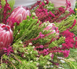 bouquet of pink flowers and green foliage