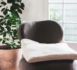 sofá de clínica de psicoterapia