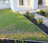 Landscaping, Lawn mowing, edging & all Gardening maintenance services