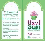 Desarrollo de nombre para productos florales , logotipo, tarjetas y etiquetas de producto