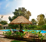 a pool with a thatched umbrella and chairs