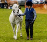Kid leading horse in a class at Cwmdu Agricultural show