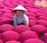 Hanoi craft village tourism
