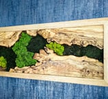 Quadro-legno-artigianale-muschio-bio-legno