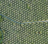 a map of a palm tree in the middle of a field