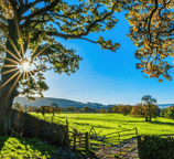 regularização de imóveis rurais