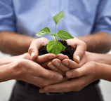Startup innovativa